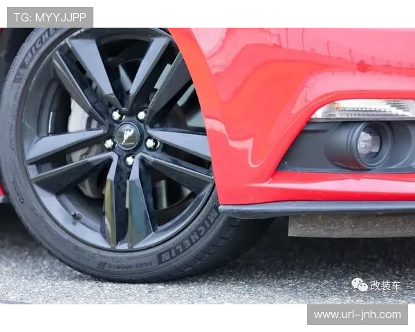 赛道温度与轮胎磨损,巴西站战术决策深度复盘