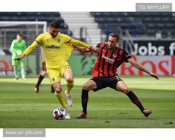 科隆vs法兰克福一役因球迷冲入场内中断十分钟